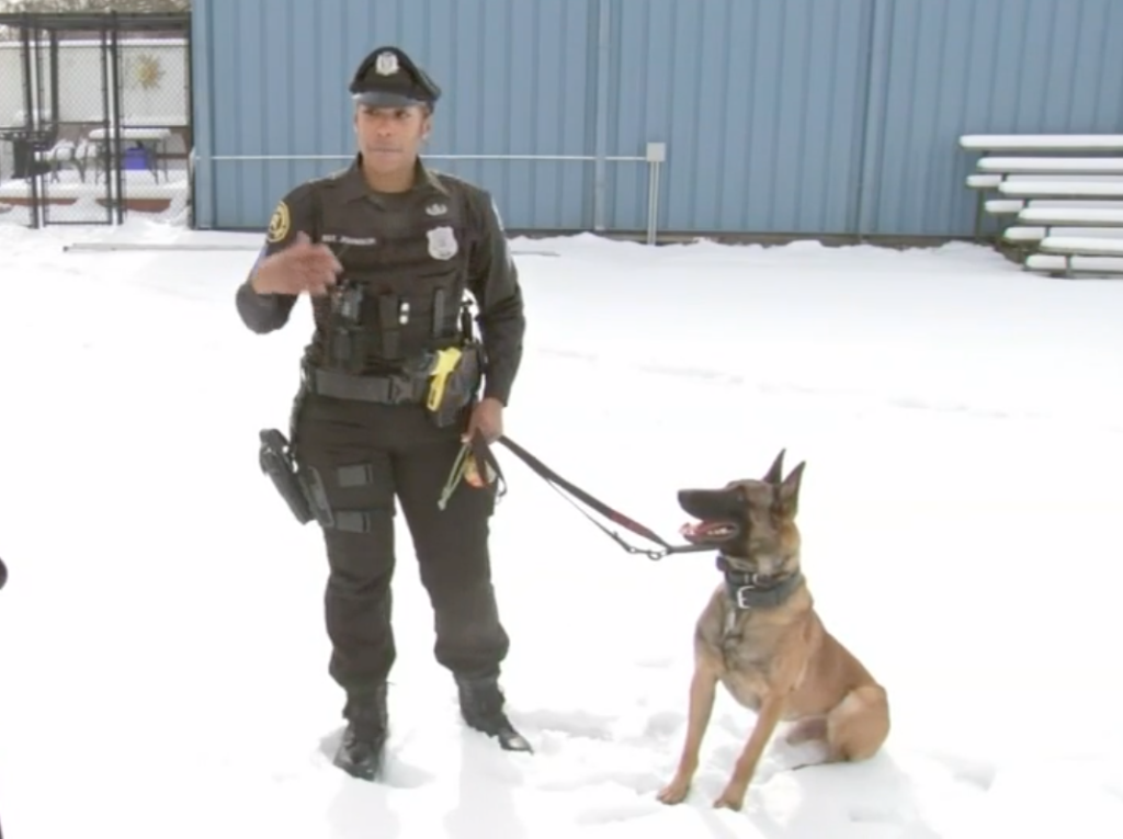 Meet Sharone Johnson, Philadelphia’s First Black Female K-9 Sergeant